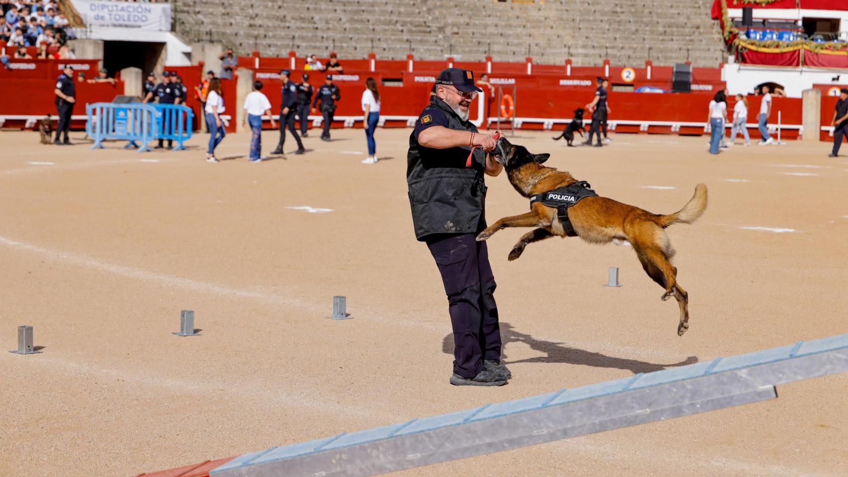 Exhibición de guías caninos policiales y militares en Toledo