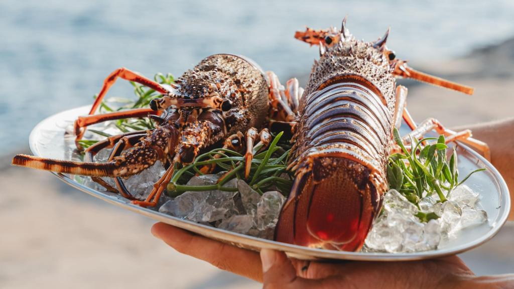 Langosta de Menorca.
