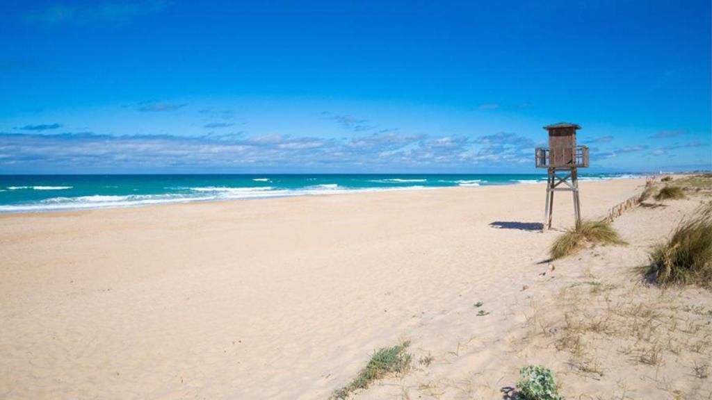 Playa del Palmar en Cádiz.