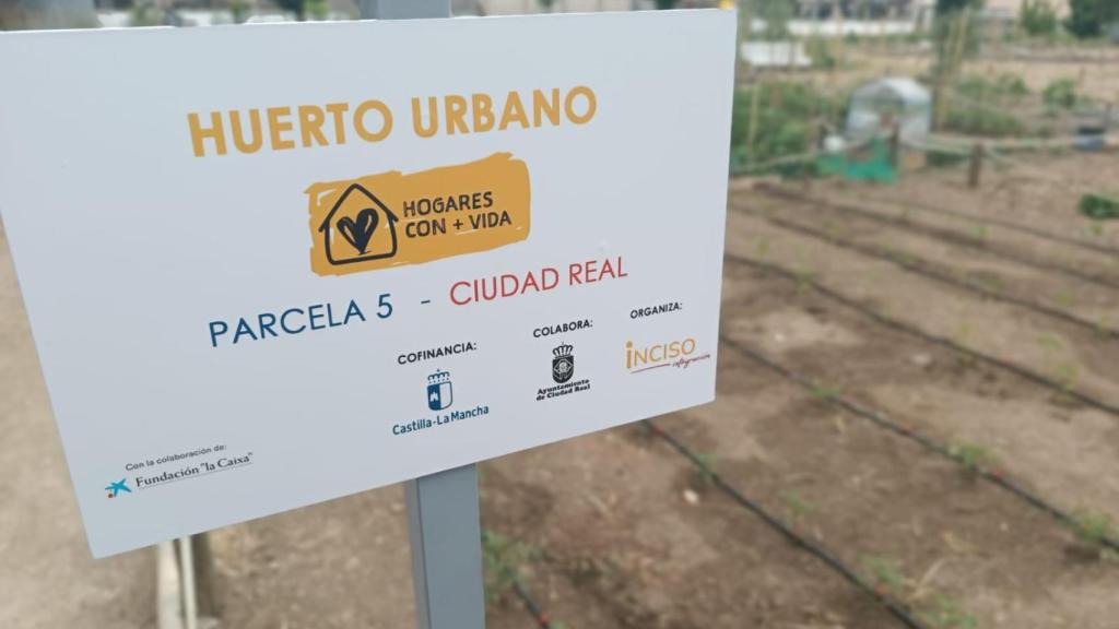 Huerto urbano donde cultivan todo tipo de verduras y hortalizas.
