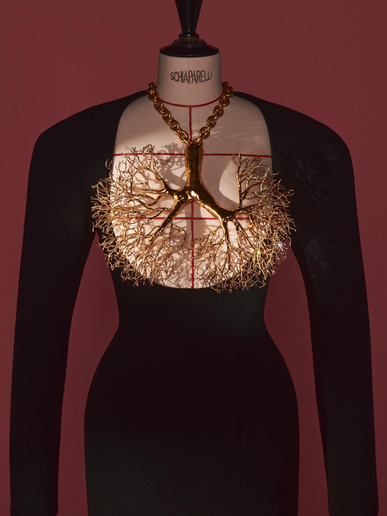 Schiaparelli by Daniel Roseberry. Vestido largo de tubo de la Colección Matador Couture. Haute Couture otoño-invierno 2021-2022. Crepé de lana. Collar de latón dorado adornado con pedrería con forma de pulmones.