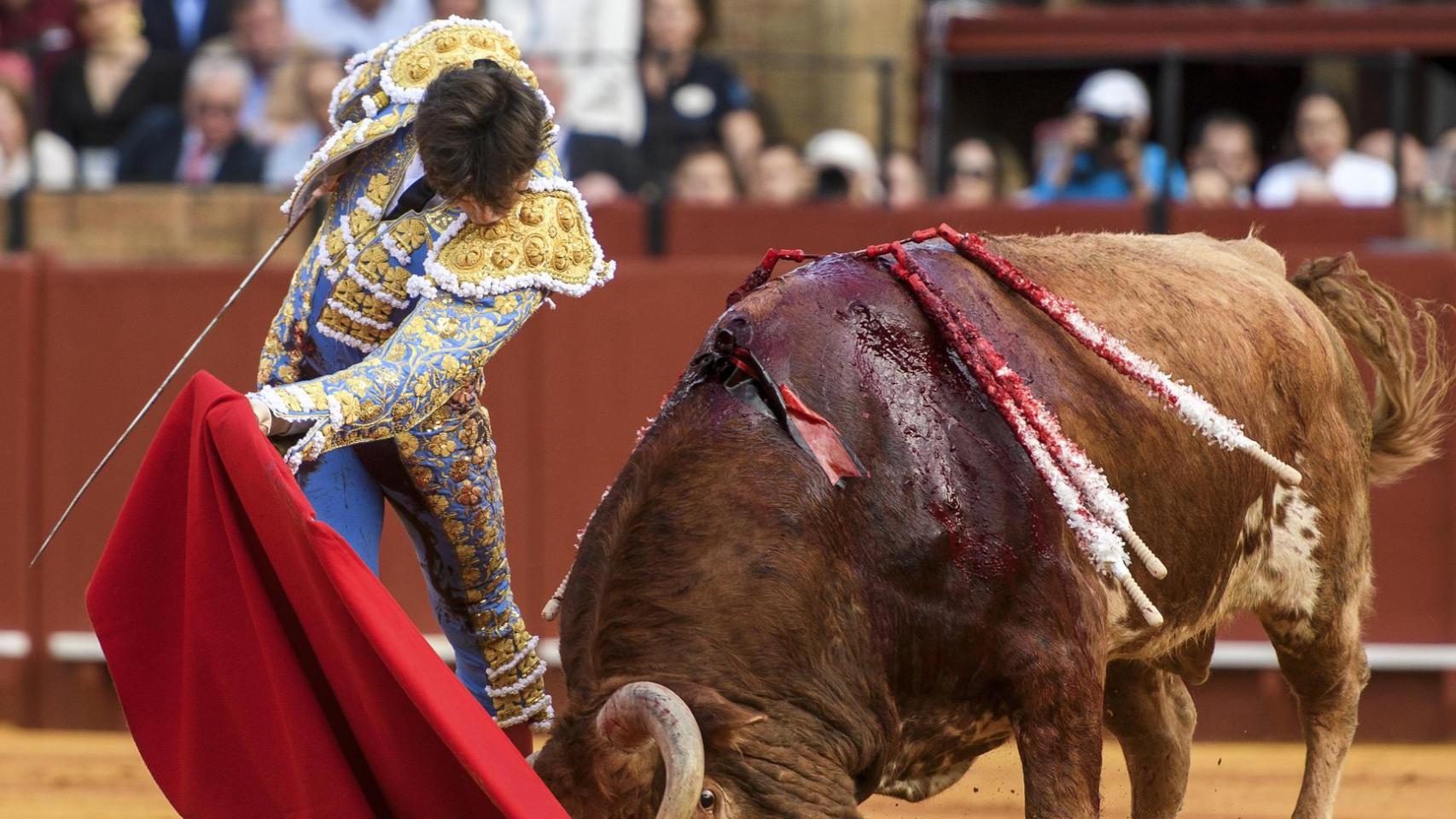 Roca Rey corta dos orejas en Sevilla tras sufrir una escalofriante cornada en el muslo