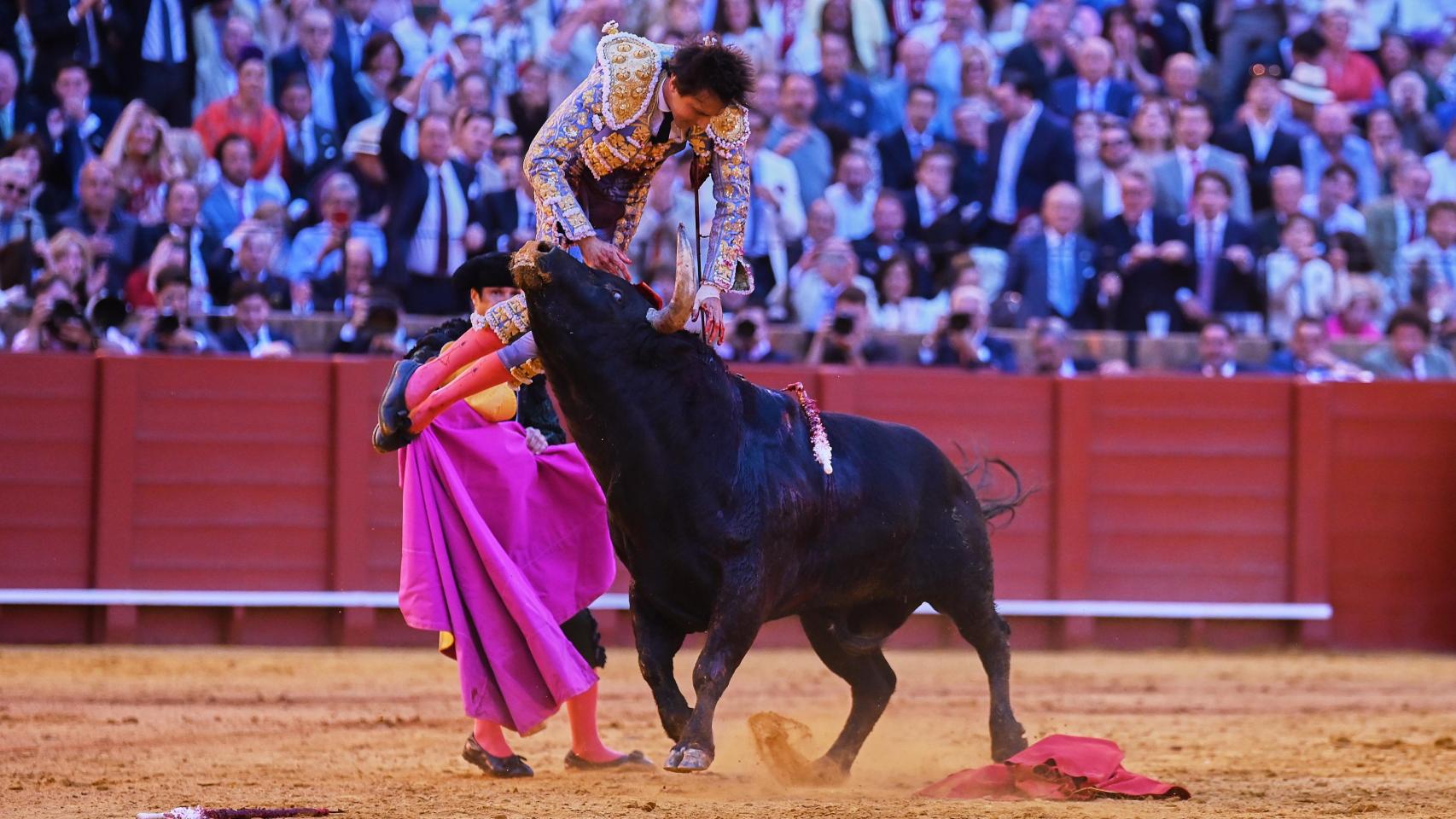 El torero Roca Rey sufre una cornada en la Maestranza tras entrar a matar.