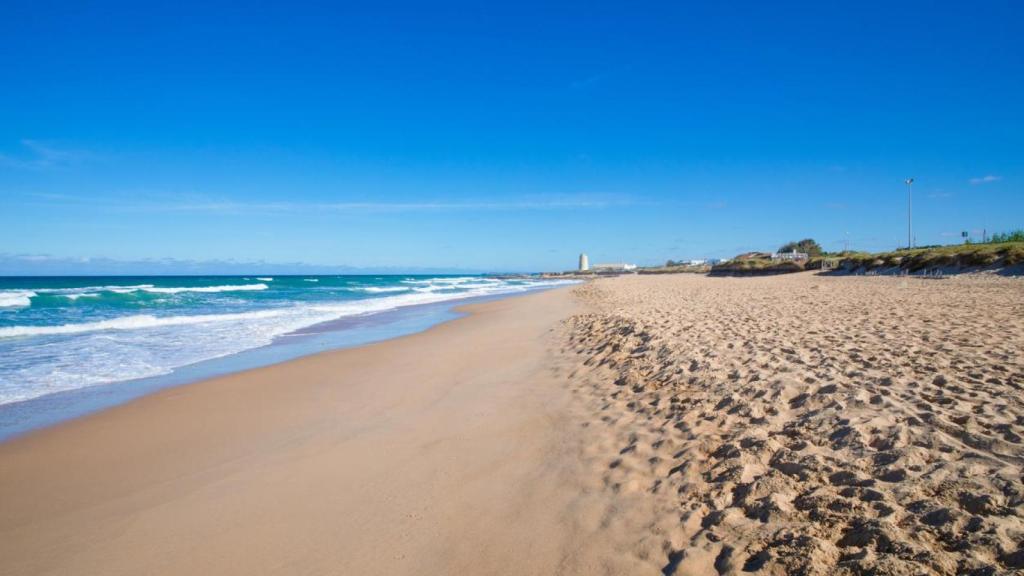 Playa del Palmar, en Cádiz.