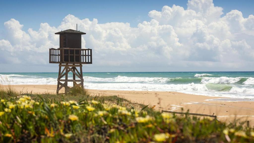 Playa de El Palmar, en Cádiz.