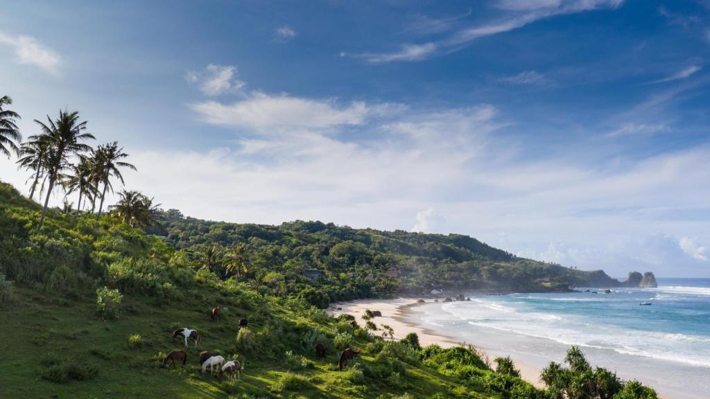 230 hectáreas de naturaleza virgen rodean a Nihi Sumba.