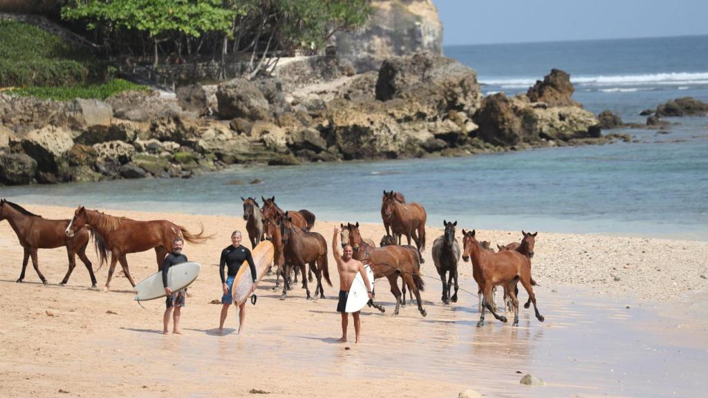 Los caballos son un símbolo identitario de la isla de Sumba.