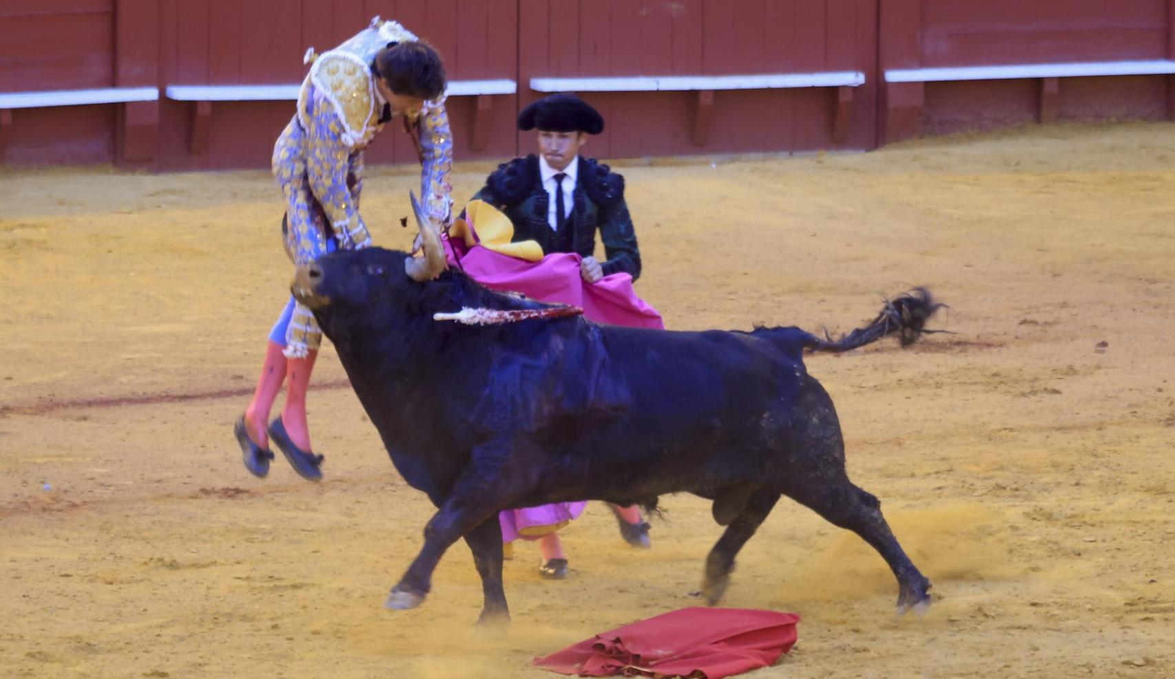 Roca Rey sufrió una grave cogida en la plaza de toros de La Maestranza, en Sevilla.