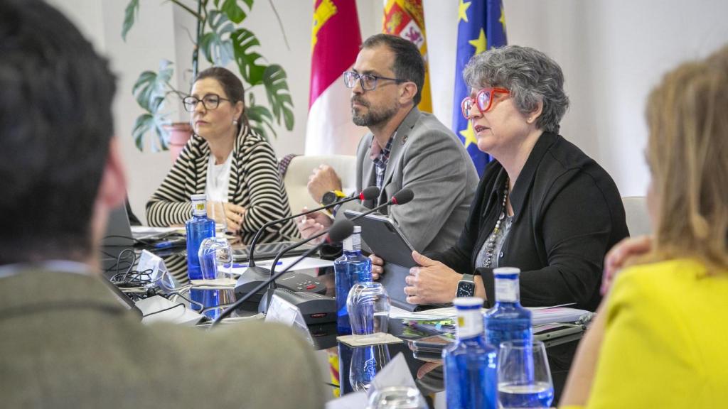 La consejera de Desarrollo Sostenible, Mercedes Gómez, durante la constitución de la mesa.