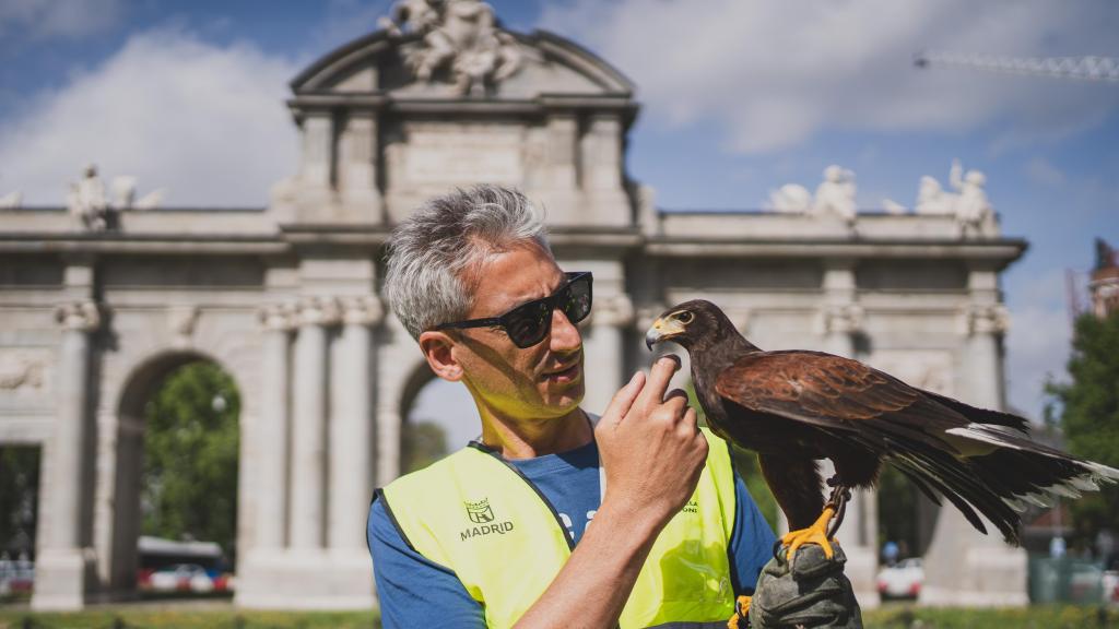 David Gil junto a su águila Tomás