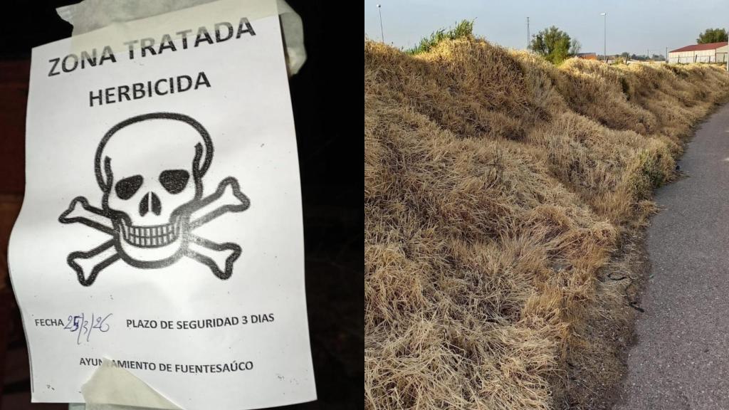 Imagen recurso del empleo de herbicidas en Fuentesaúco.