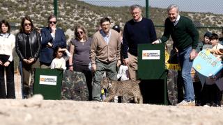 El presidente en funciones, Jorge Azcón, junto al consejero de Medio Ambiente, Manuel Blasco, en la reintroducción del lince ibérico en Aragón