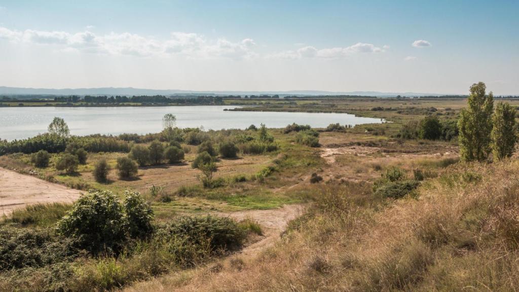 Laguna de Sariñena.jpg