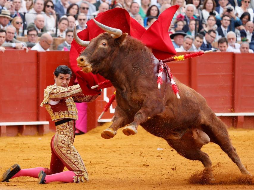El torero Pablo Aguado pega un pase por alto de rodillas en la Maestranza.