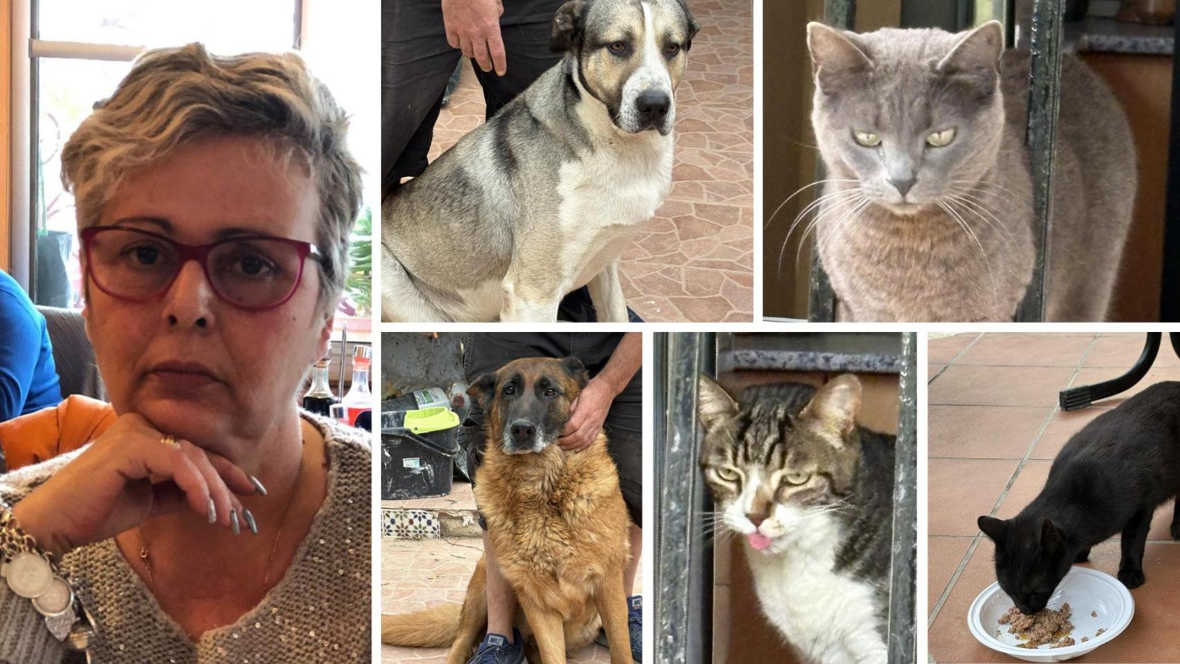 La fallecida y algunos de sus animales.