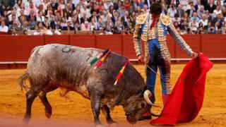 Jiménez Fortes toreando al natural en Sevilla.