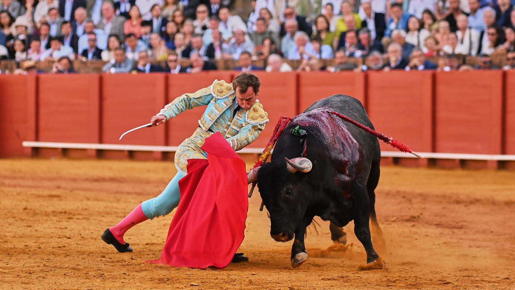 Román torea al tercero de Miura en Sevilla.