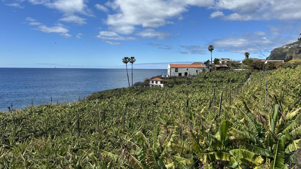 La finca Fajã dos Padres.