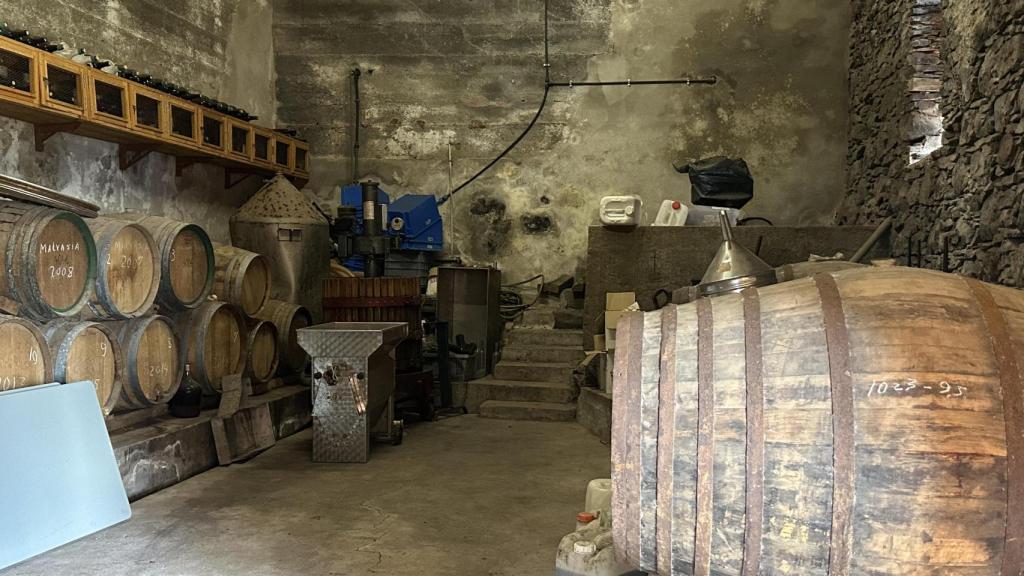 Las barricas de la bodega donde envejecen los vinos que elaboran.