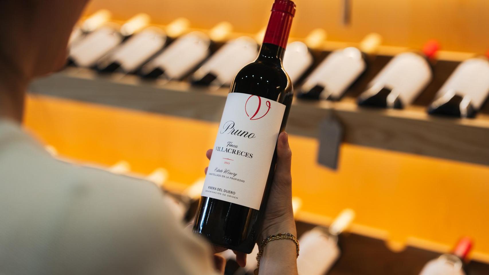 Vino Pruno 2023