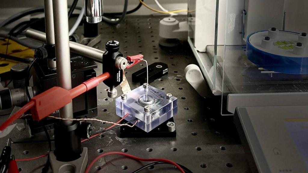 El nanogenerador  de la Escuela Politécnica Federal de Lausana (EPFL).
