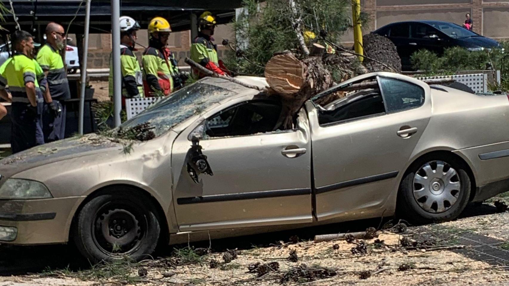 Árbol caído encima de un coche en Argés (Toledo). 