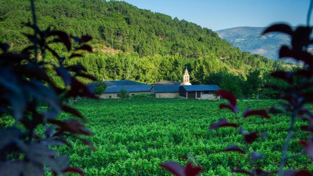La Primavera de Portas Abertas nas Rutas do Viño de Galicia