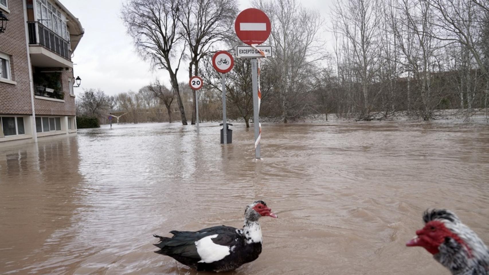 Inundaciones en la provincia de Valladolid hace unos meses.