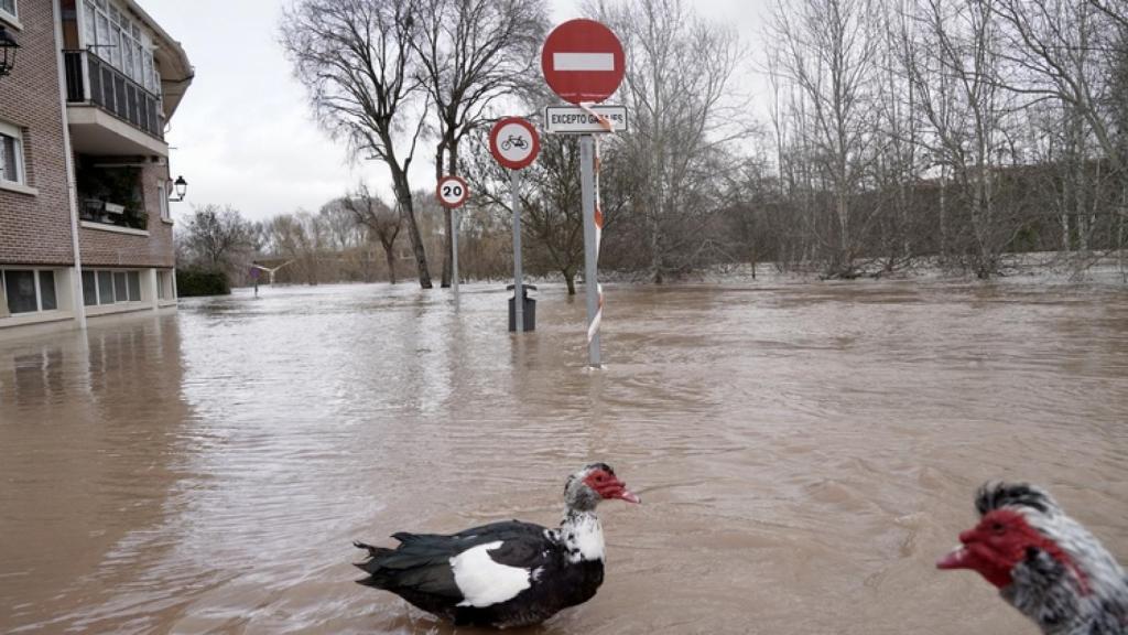 Inundaciones en la provincia de Valladolid hace unos meses.