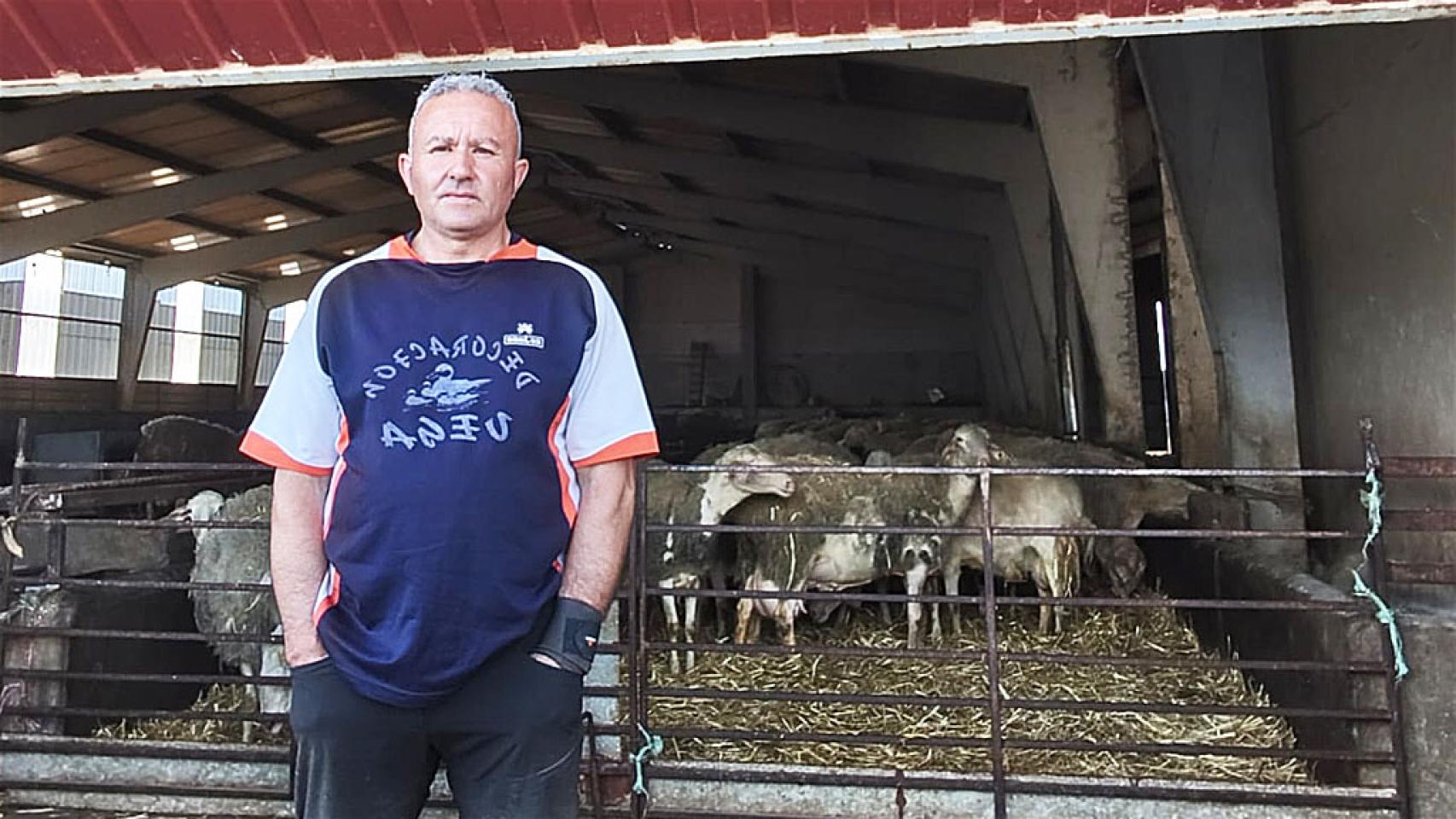 José Martínez Castelo junto a sus ovejas.