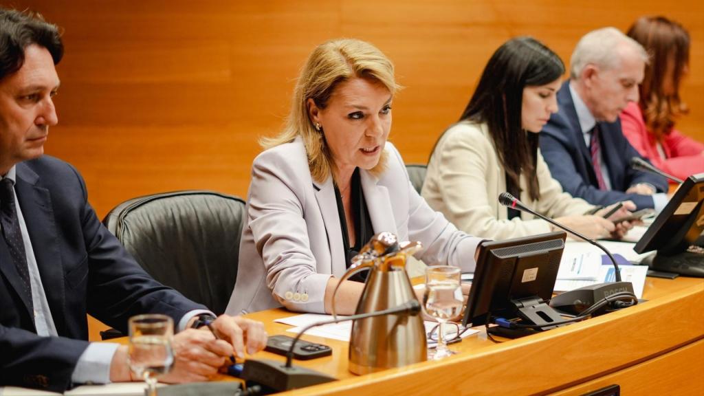 Susana Camarero en la Comisión de investigación de Les Corts. Jorge Gil / Europa Press
