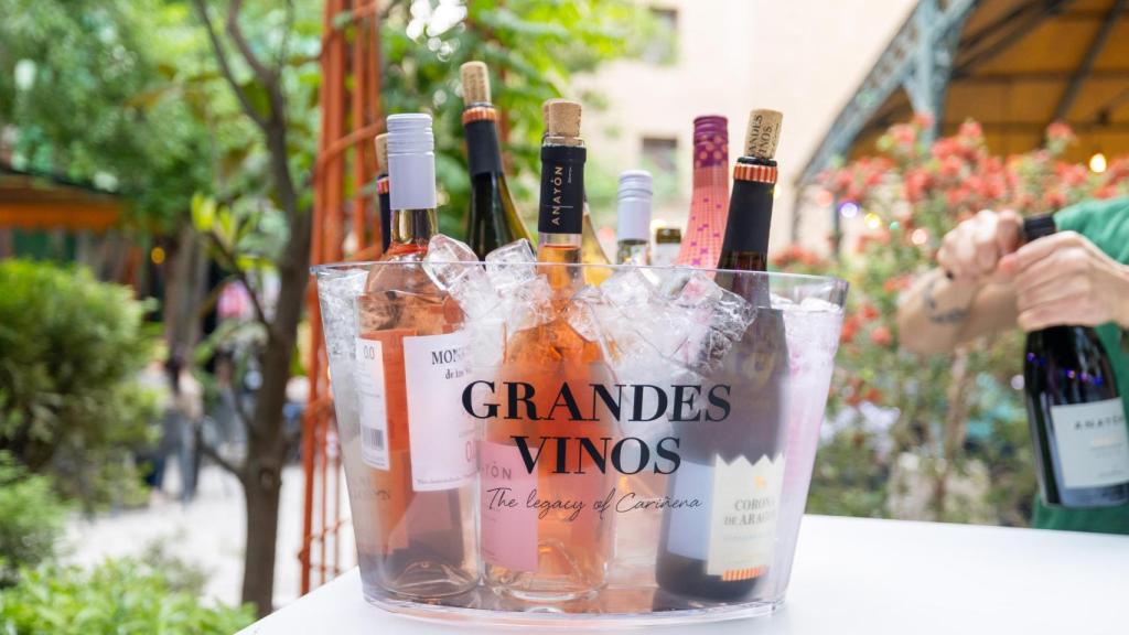 Colección de bodega Grandes Vinos.