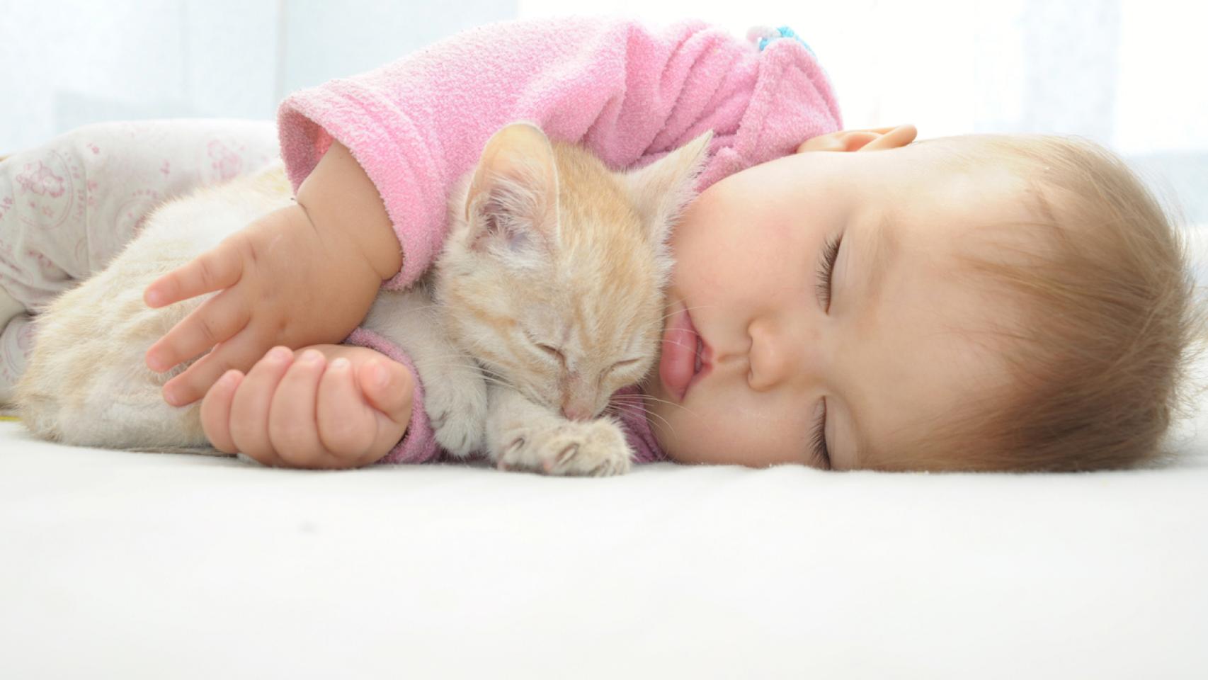 Un bebe y un gato.