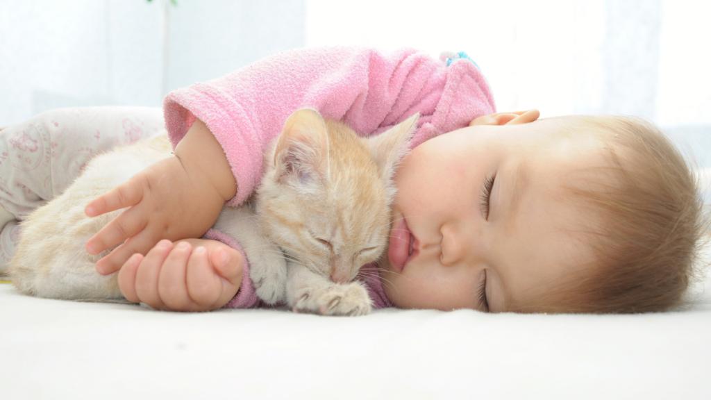 Un bebe y un gato.