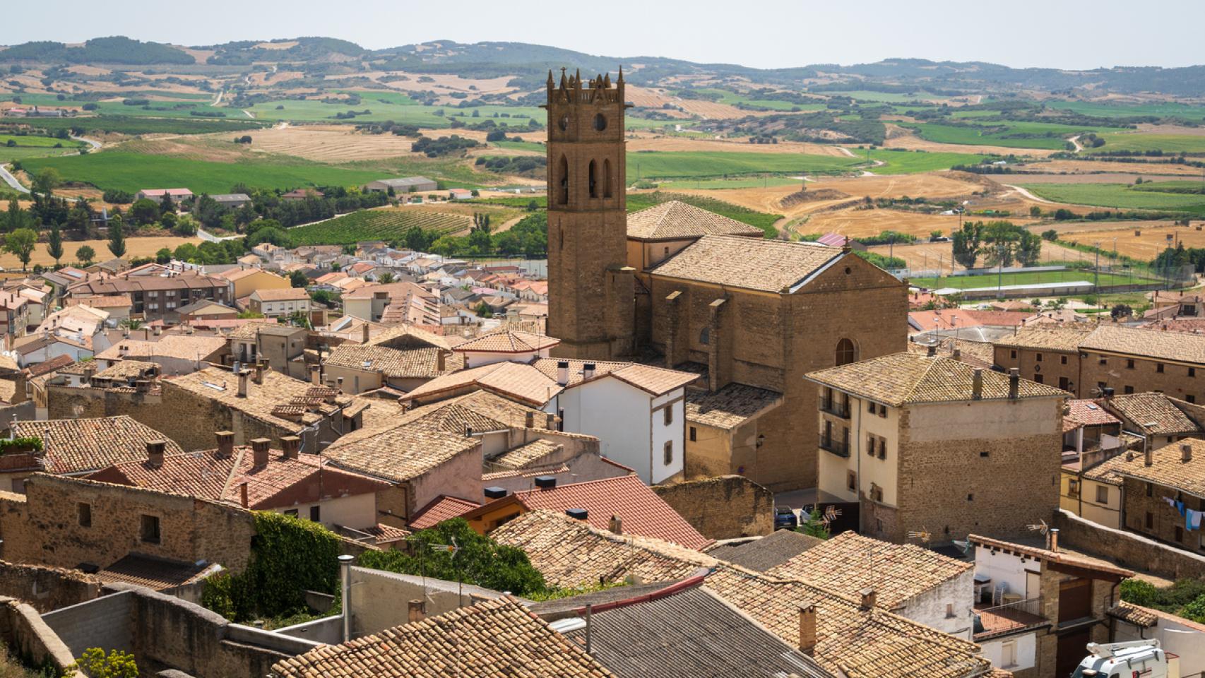 Las murallas y torres del Cerco de Artajona