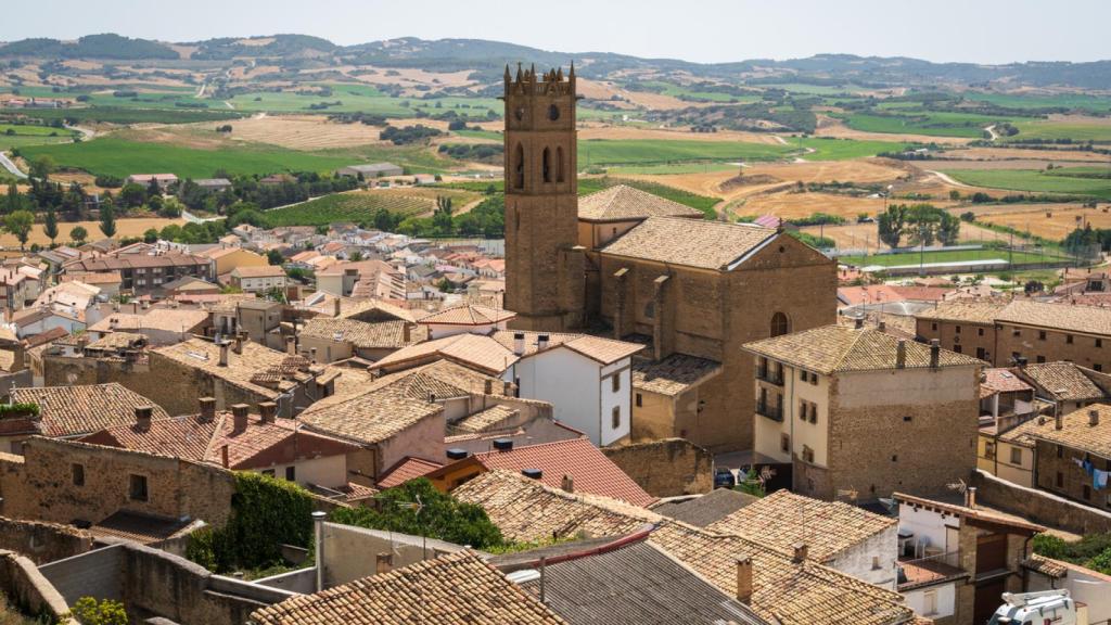 Las murallas y torres del Cerco de Artajona