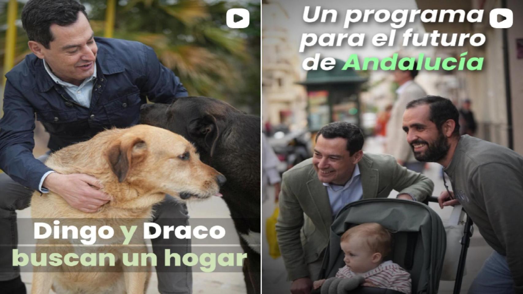Perfil de Juanma Moreno en la red social Instagram