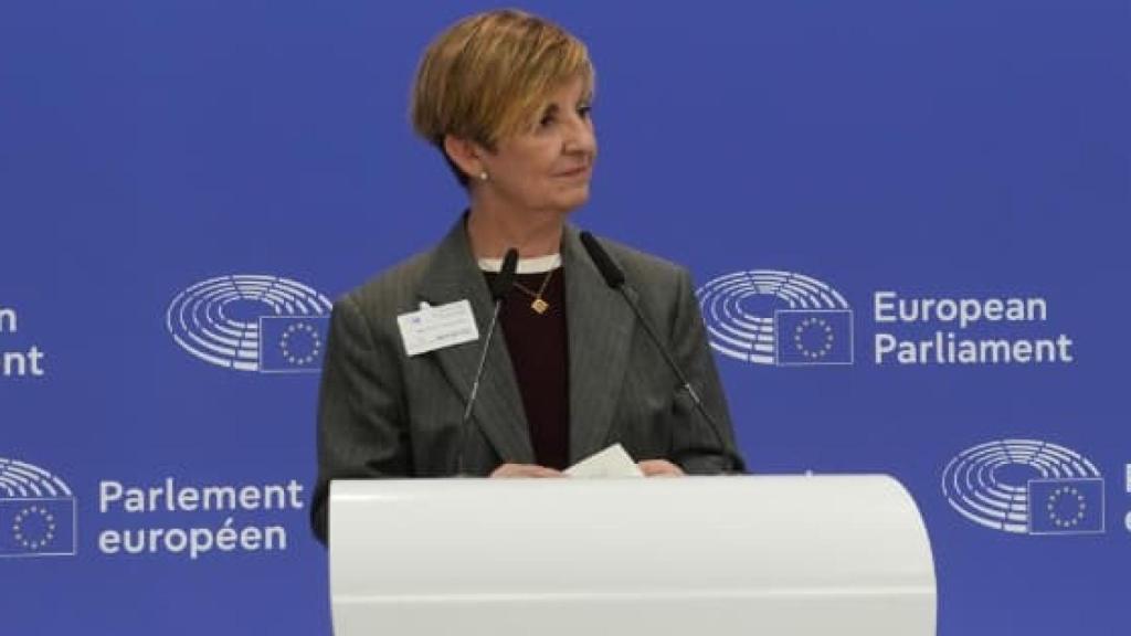 La consellera de Industria, Marian Cano, en una reciente visita al Parlamento Europeo.
