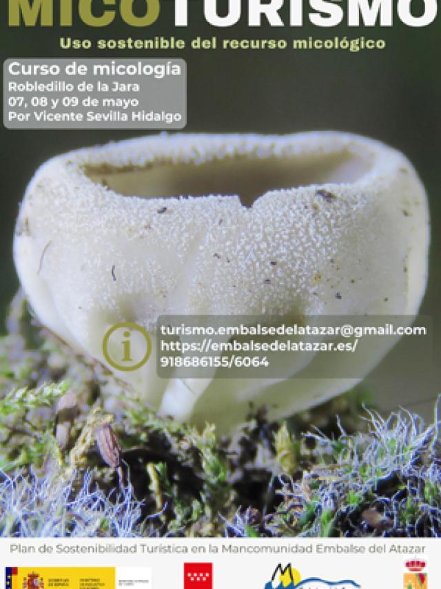 Cartel del curso de micología.
