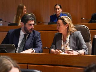 Alejandro Nolasco y Carmen Rouco, de Vox, durante el debate de investidura.