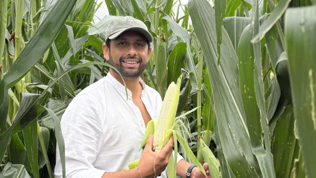 Edgar Reyes, CEO de Maiz Maya, en uno de los campos donde obtienen su maíz. 