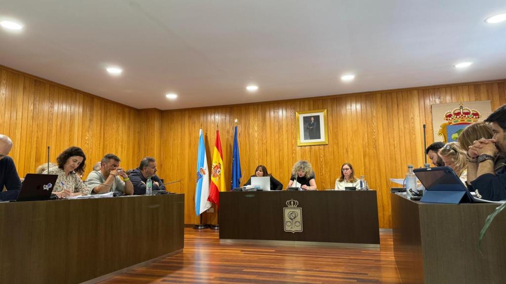 Imagen del pleno.