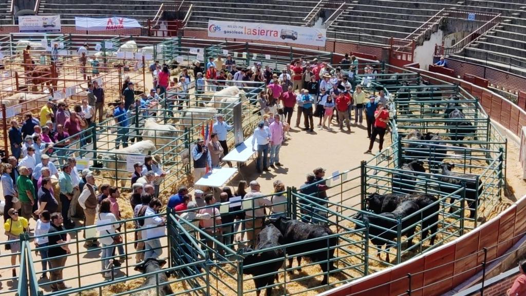 Imagen de archivo de la Feria del ganado vacuno de El Espinar (Segovia)