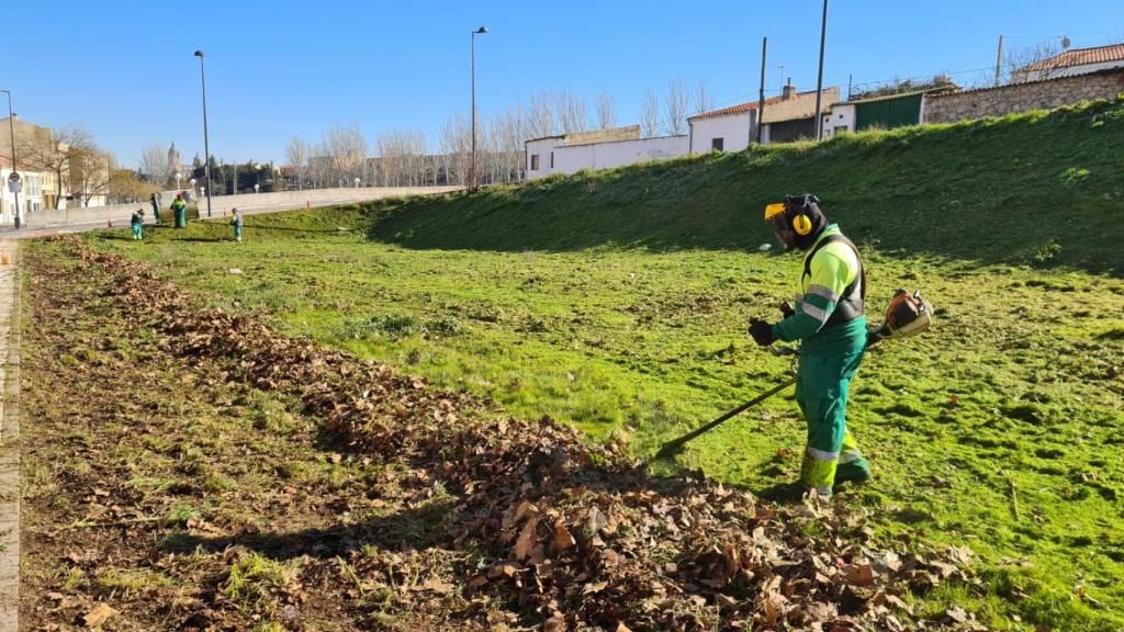 Limpieza de un solar del barrio de Chamberí