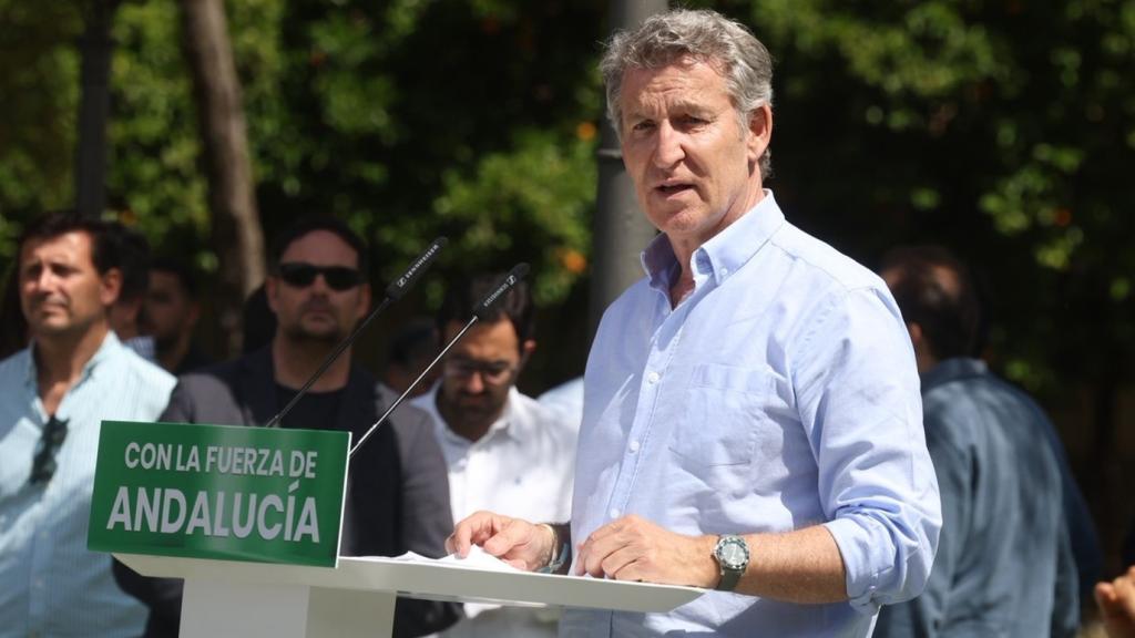 El presidente nacional del PP, Alberto Núñez Feijóo, en un acto de campaña en Jerez de la Frontera.