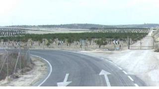 La carretera de Torremendo.