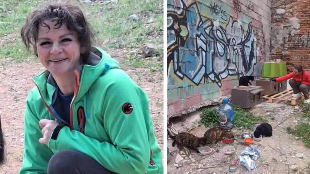 Una imagen de Cristina y una colonia de gatos.