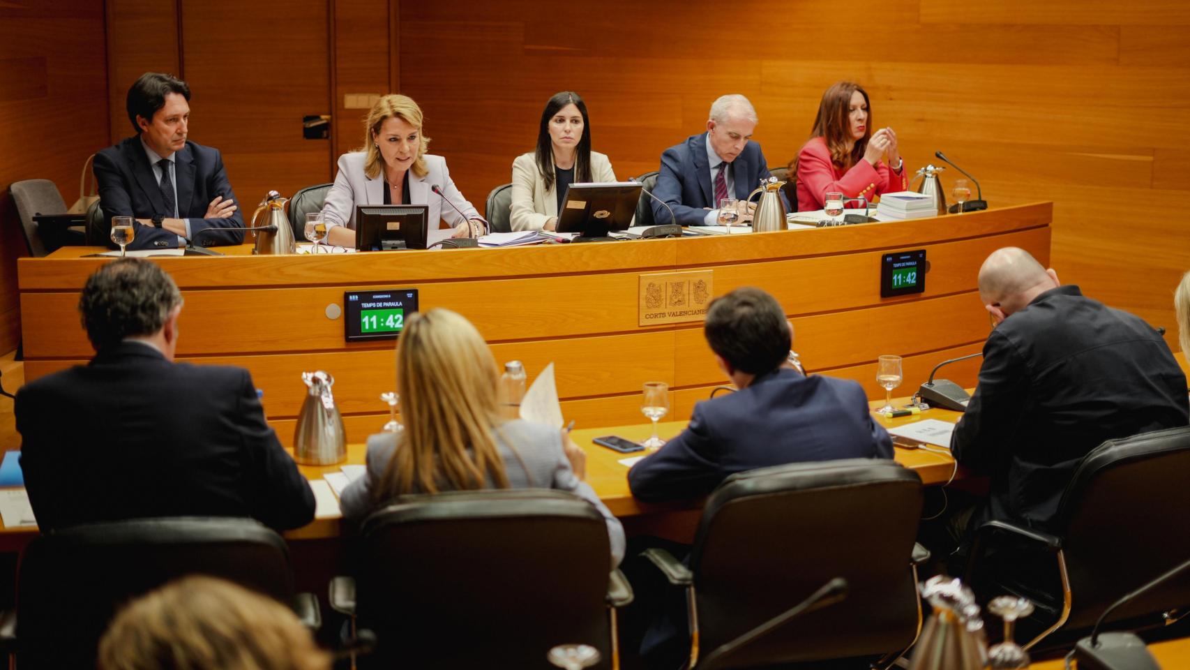 La vicepresidenta primera, Susana Camarero, en su comparecencia ante la Comisión de investigación de la dana. Europa Press / Jorge Gil