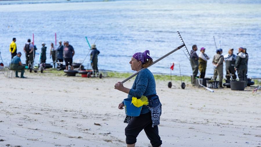 Una mariscadora en la ría de Pontevedra.