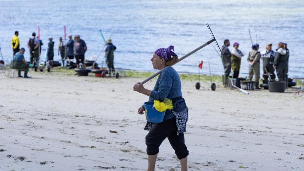 Una mariscadora en la ría de Pontevedra.